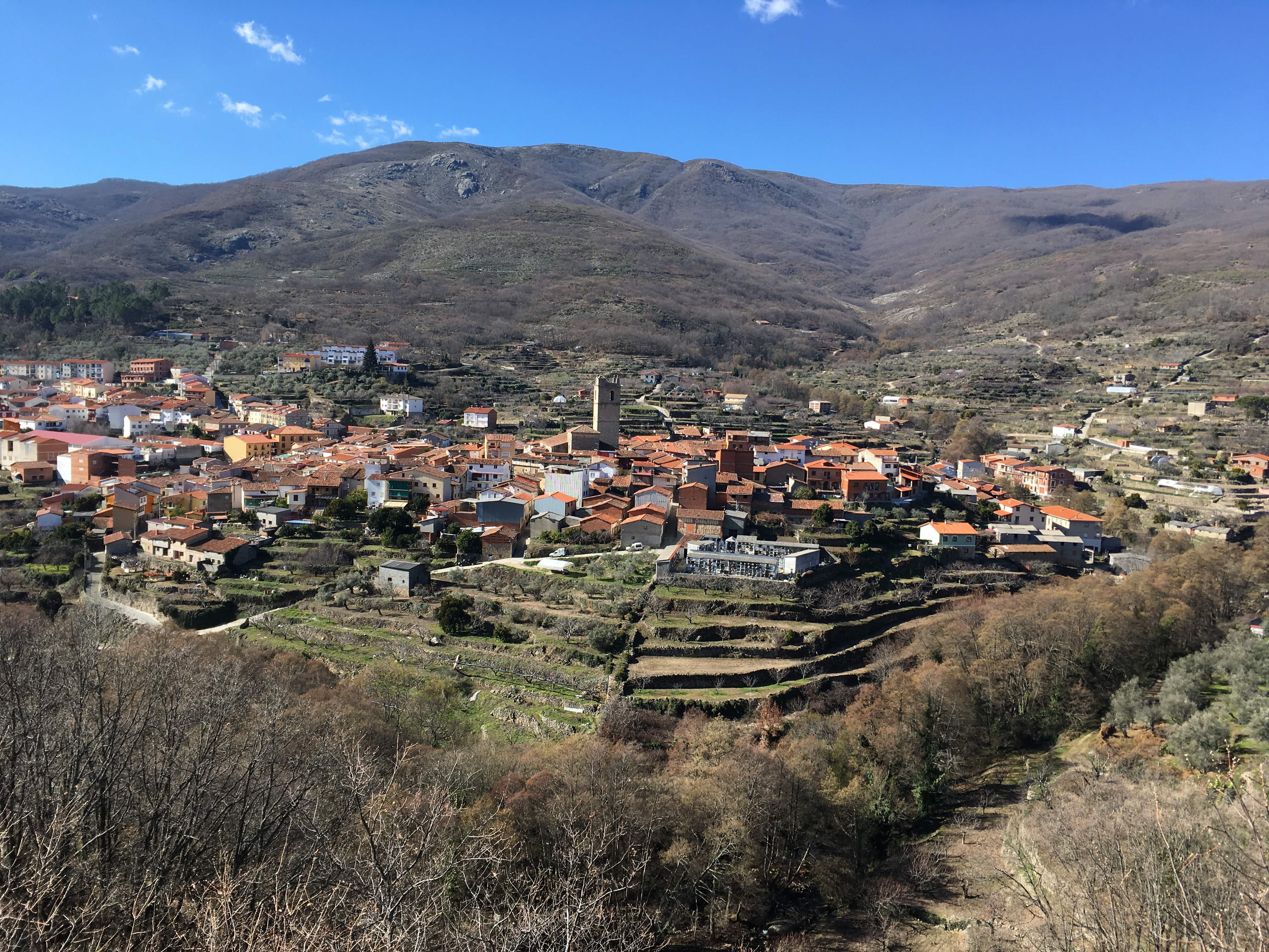 20180206_121715830_iOS